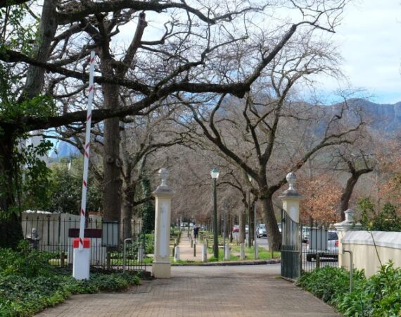 SmartPath Roundtable: Designing a pathway that no woman falls through.